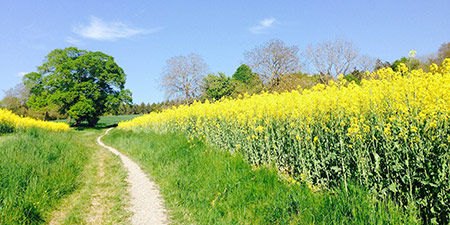Pfingstferien NRW